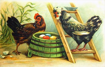 Hen and a rooster near their nests with colored eggs.