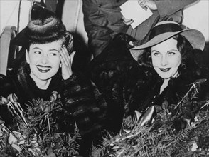 Olivia De Havilland and Vivien Leigh.