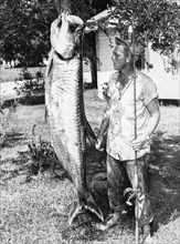 130 Kg Fish Caught In The Gulf Of Mexico.