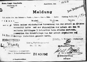 Punishment Order For An Internee In The Auschwitz Camp.