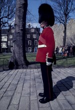 Queen's guard, london, uk