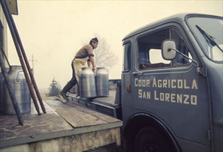 San lorenzo agricultural cooperative, milk container