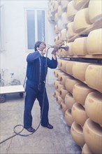 Dairy industry, parmigiano reggiano production, 70's