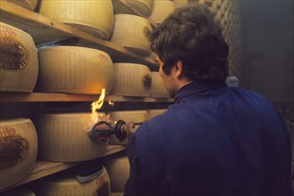 Dairy industry, parmigiano reggiano production, 70's
