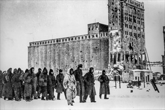 Battle of stalingrad, the sixth German army surrenders in stalingrad, 1943
