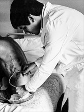 Doctor performs a dressing, policlinico di milano