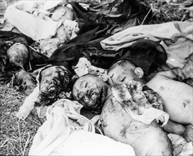 Children killed by the national liberation front on the outskirts of saigon, May 1974