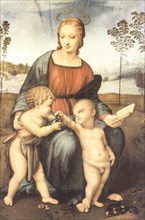Madonna of the Goldfinch, raffaello sanzio