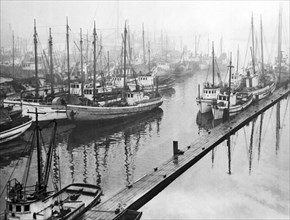 Seattle Fishing Fleet