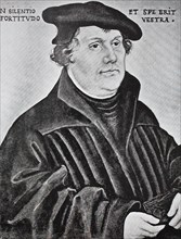 Martin Luther Was A German Professor Of Theology
