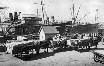 Tasmanian Dock Activity