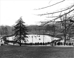Ice Skaters in Central Park