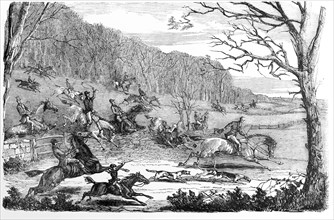Fox Hunting Running Through Countryside.