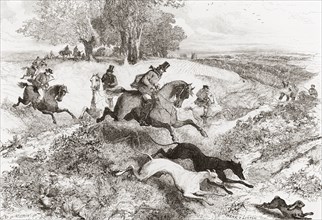 Hare coursing, the pursuit of hares with greyhounds, in England in the 19th century.