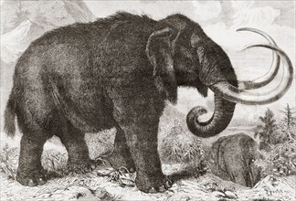 Artist's reconstruction of a woolly mammoth.