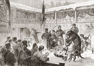 Bear-baiting with dogs in the 19th century.