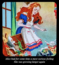 Alice in Wonderland chapter 3.