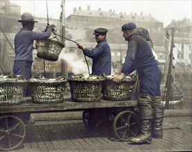 Fishermen unloading herring at North Shields Fish Quay.