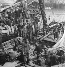 Fishermen and boys on board fishing boats sorting and gutting herring fish.