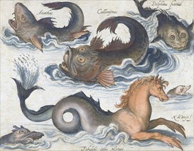 Seahorse and other imaginary sea creatures.
