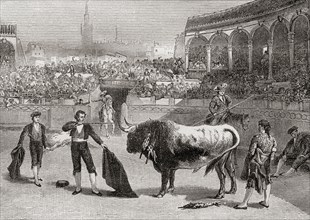 A bullfight in Seville.
