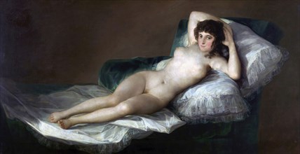 The Naked Maja by Francisco Jose de Goya y Lucientes.