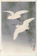 Two Little Egrets in Flight.