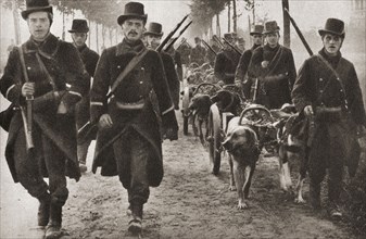 Dogs used to pull the machine guns of the Belgian army during WWI.
