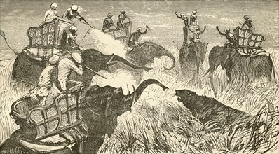 Hunters mounted on elephants.