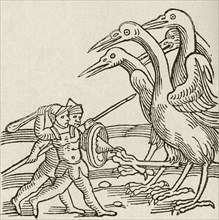Fight between Pygmies and Cranes.