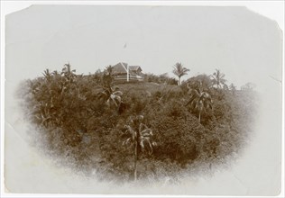 Exterior view of summer bungalow, Mount Harriet