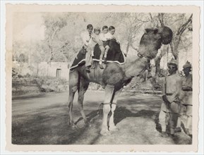 Four children on a camel during railway outing