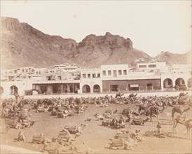 Camel market, Aden
