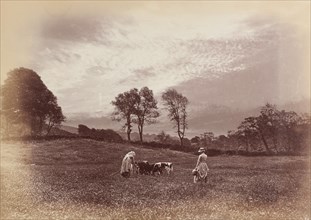 Photograph by Henry Peach Robinson called 'Feeding the Calves', England