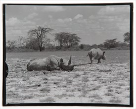 Amboseli Game Reserve