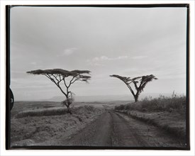View near Ngorongoro