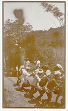 Plantation workers and elephant hauling load