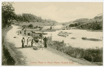 Road by Lake, Nuwara Eliya