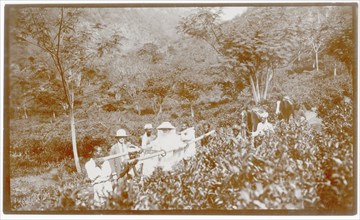 Passage through tea plantation