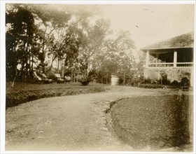 Road curving to corner of bungalow, Gikiyanakanda plantation
