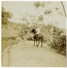 Horse-rider and donkey, Sri Lanka