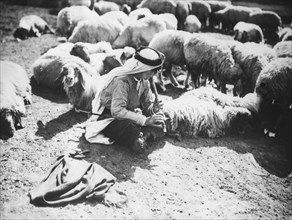 Arab shepherd plays the flute while sitting with his sheep and goats
