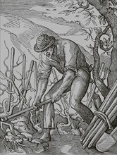 The wine grower. Facsimile after a drawing and engraving by Jost Amman in the 16th century.