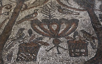 Floor mosaic from the Basilica of  St. Sophia in Sofia, Bulgaria. It was located in the apse of the