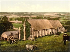 Abbotsbury Abbey.