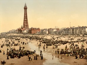 The tower in Blackpool.