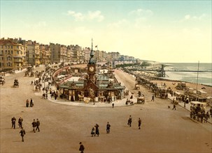 Aquarium in Brighton.