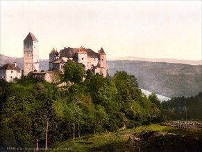 Viechtenstein Castle on the Danube.