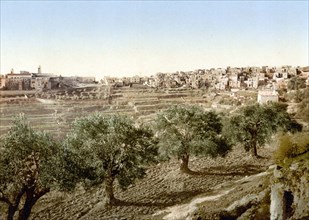 General view of the well of David.