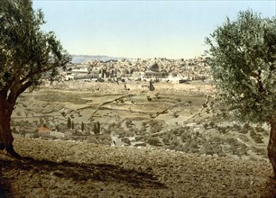 View from the Mount of Olives.